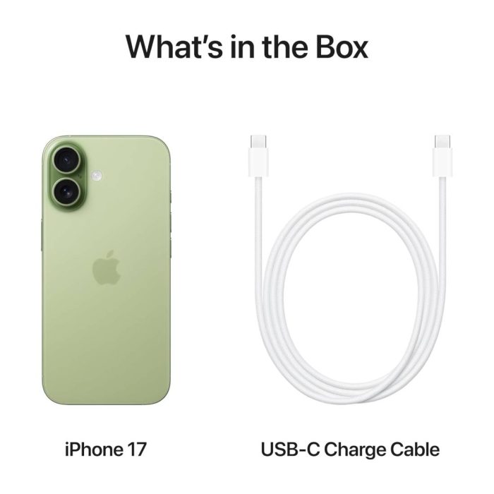 iPhone 17 256gb, Factory Unlocked - Sage - Image 3